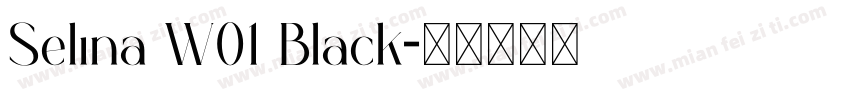 Selina W01 Black字体转换